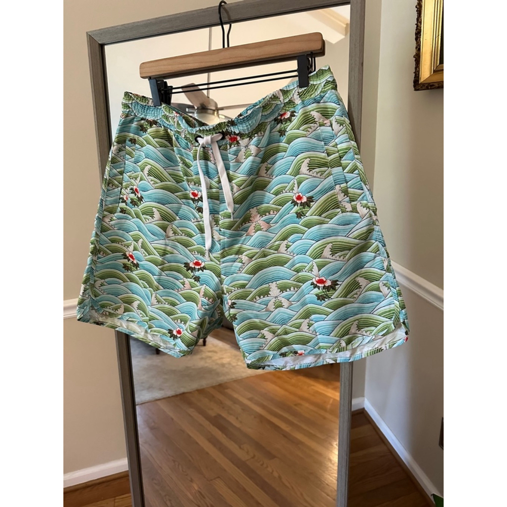 Novamen Swim Trunks Shorts Blue Green Mens